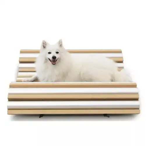 犬系图书,送给你和你的爱犬爱狗人士收藏贴

