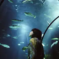 女生头像茫茫深海中

