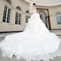 2017唯美婚纱背影大拖尾图片
