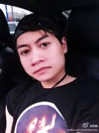 杨幂陈晓赵丽颖袁姗姗明星也爱自拍卖萌
