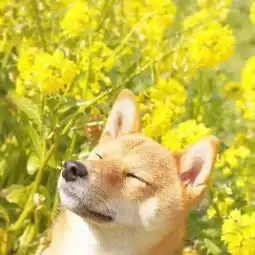 用什么姿势拍照,能达到点赞高潮
