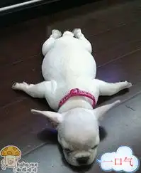 能一口气读完整段的童鞋举个手
