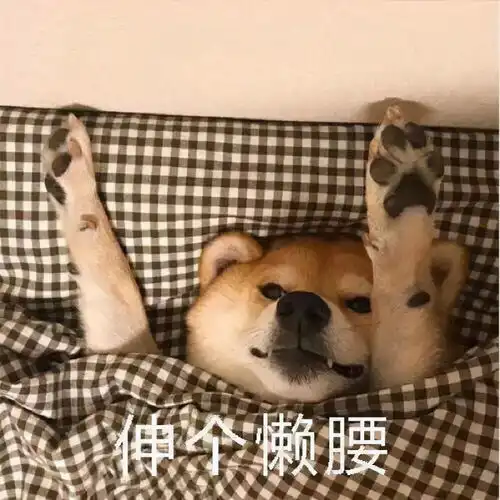 表情包柴犬冬季懒床表情,我再睡一会儿
