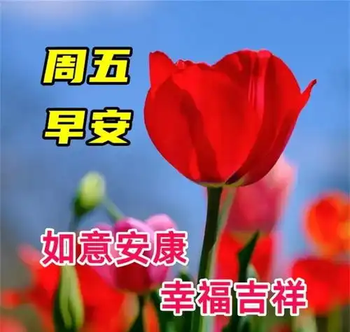 5月17日周五快乐,星期五早安漂亮祝福图片,万事顺心
