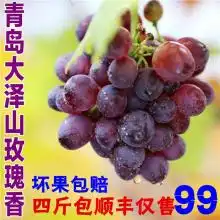 首页青岛富绿特果品进出口贸易公司主营大泽山葡萄玫瑰香葡

