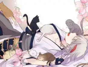 你喜欢猫吗他和他的猫咪男生版壁纸头像欣赏
