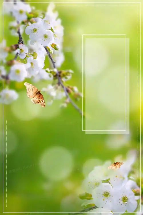 春季春分二十四节气绿色小清新开花蝴蝶背景背景图片素材免费下载熊猫办公
