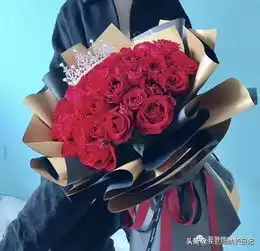 传奇玫瑰唯一有绒毛厚花瓣的红玫瑰,情人节表白的必备花材
