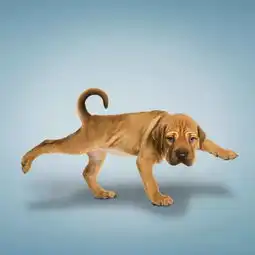 每日一笑,瑜珈超萌哦
