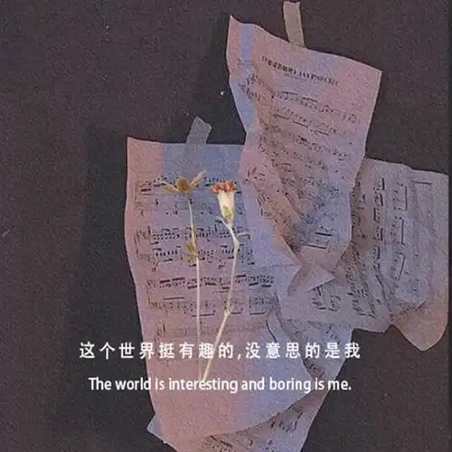 扎心文案别遇见,就是我要生活给我的怜悯
