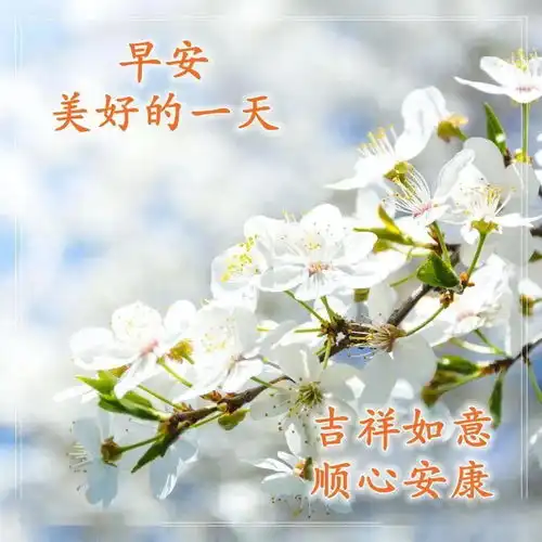 秋天最美的早安祝福图片,微信早晨问候语表情
