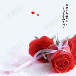 浪漫玫瑰背景图背景图片免费下载主图直通车高清大图千库网图片编号3646241
