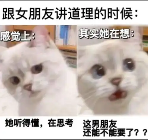 嘴上说着热成狗,没成想狗窝已经安上空调了
