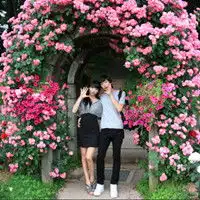 柳惠柳惠qq空间素材qq头像图片qq泡空间站
