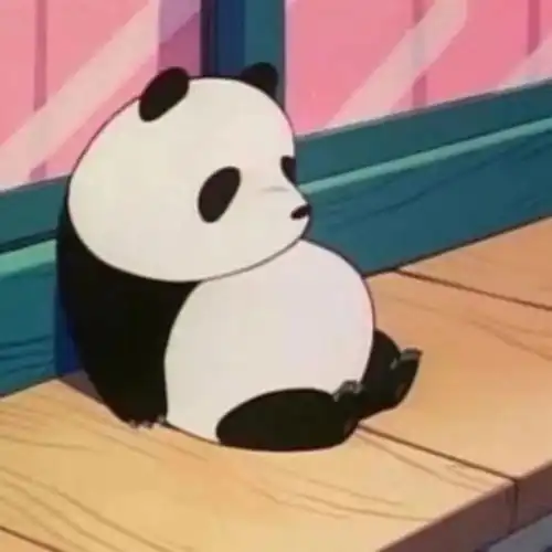 求购一个高反姐妹,代拍暖脚神器
