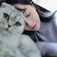 猫比人浪
