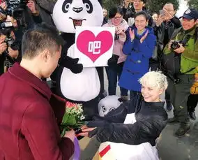 26岁乌克兰美女情人节求婚扮熊猫下跪

