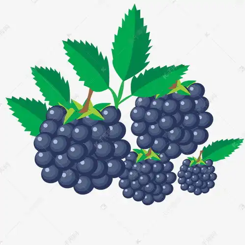 一堆卡通的葡萄水果素材图片免费下载千库网
