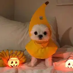 单人困的微博微博
