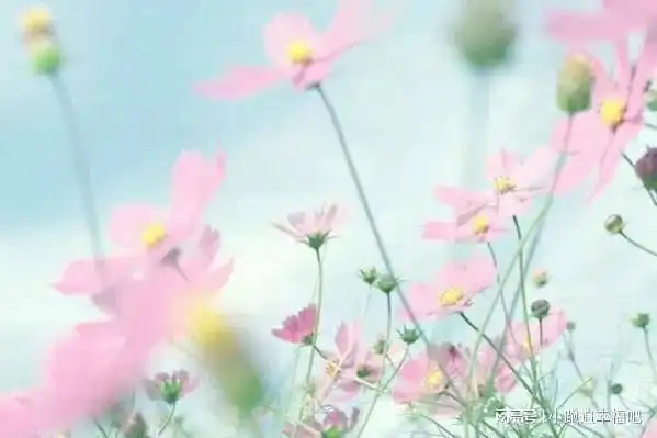 你媳妇怎么不来照顾我儿子她生病的时候,你说找娘家去
