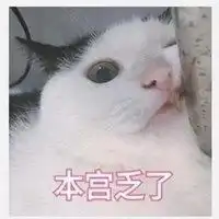本宫乏了表情包微信头像图片大全
