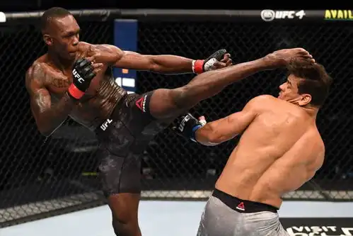 还吹捧ufc吗在中国多次吃败仗的黑龙,凭借完美站立技术横扫ufc
