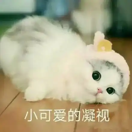 时尚教主丁小芹刚坑了闺蜜,又因诈骗沦为阶下囚
