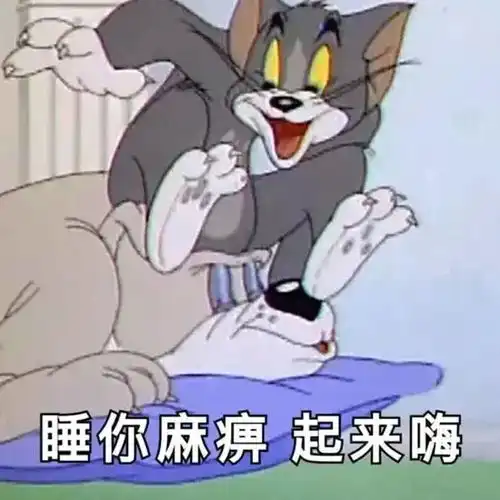 哔哩哔哩专栏
