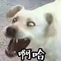 动画搞笑情侣头像雷人的微信头像图片大全
