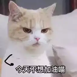 情侣头像表情包来一波
