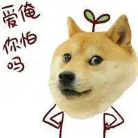 单身可撩文字头像微信头像图片大全

