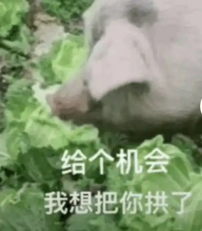 表情猪拱白菜表情包
