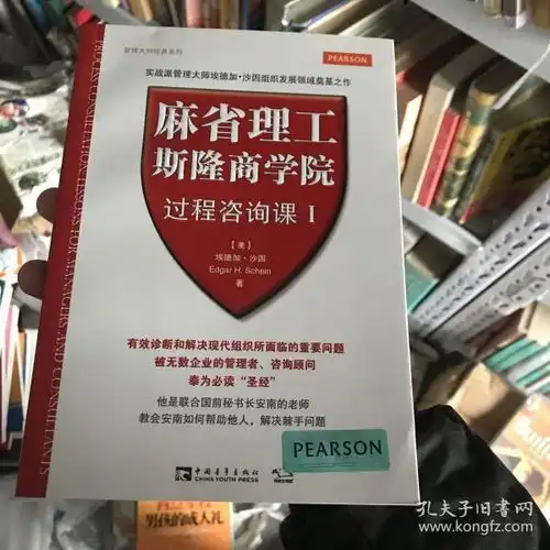 麻省理工斯隆商学院过程咨询课管理大师经典系列

