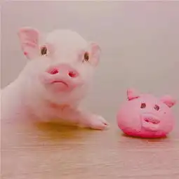 温氏股份ab面多元化硬刚猪周期董监高密集减持套现
