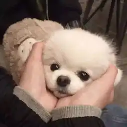 渐行渐远,终成不见
