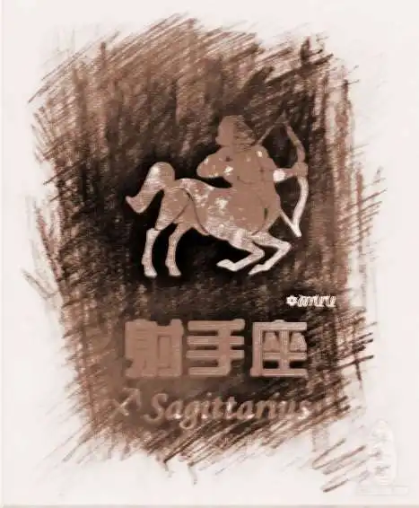 射手座的爱情配对
