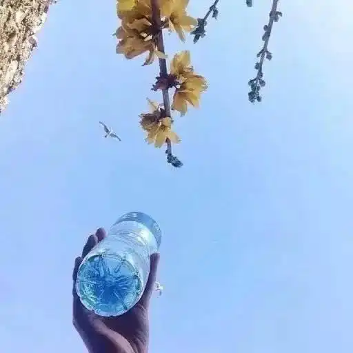 平淡的爱情才会长久,你说是么
