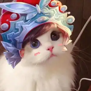 王者荣耀情侣猫咪头像无水印王者荣耀情侣猫咪头像下载极速下载
