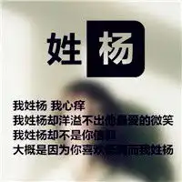 带姓氏文字图片头像大全,姓杨姓张姓王姓黄等
