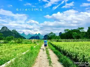 选行之旅左手麦田后手花海
