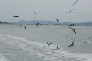 青岛蓬莱长岛7日淡季慢游放空之旅附独家手绘
