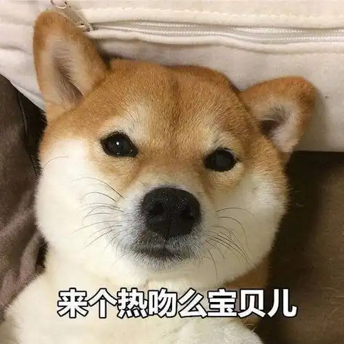 适合发说说的沙雕可爱文案
