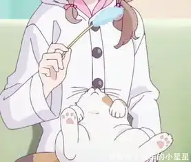 猪头少年兔女郎一部没有解决问题的青春期动画,青春期是什么
