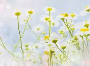 2019活出全新的自己励志早安语录说说心情配图
