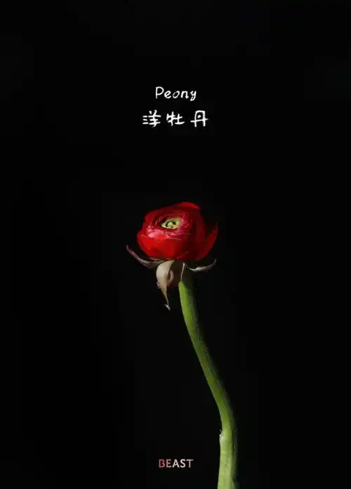 送你一把小红花
