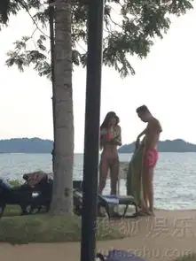 高虎揽比基尼美女度假照曝光出双入对动作亲昵
