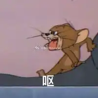 汤姆杰瑞鼠表情包
