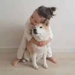 这个衣品超好的3岁混血小萝莉,在ins爆红却是因为一只柴犬...
