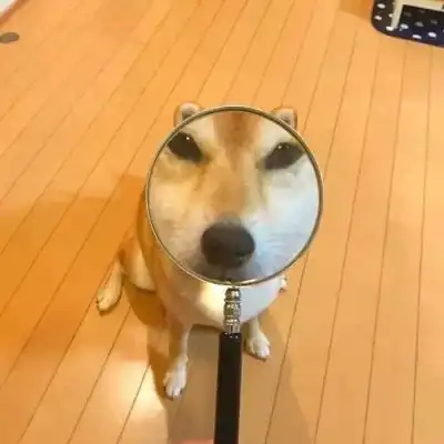 可爱动物萌情头
