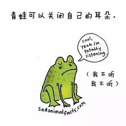 鲨鱼怀孕要4年,萌死人的漫画动物冷知识
